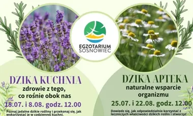 W Egzotarium ruszają darmowe warsztaty o dzikich roślinach